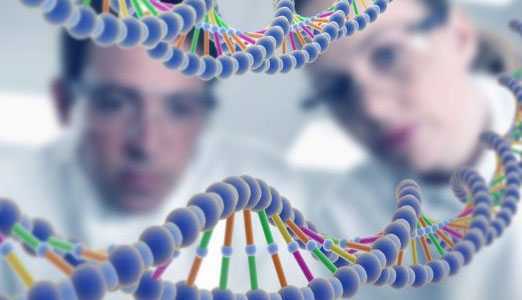 манипуляции в геноме