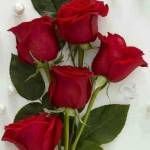 МКОУ "Сумбатлинская ООШ" Profile Picture