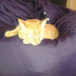 Любовь Махова Profile Picture