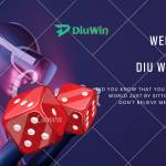 diuwin game Profile Picture