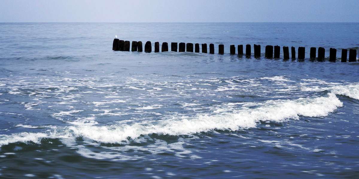 The Rise of Sugar Daddy Websites in Paris: A Modern Exploration Of Relationships