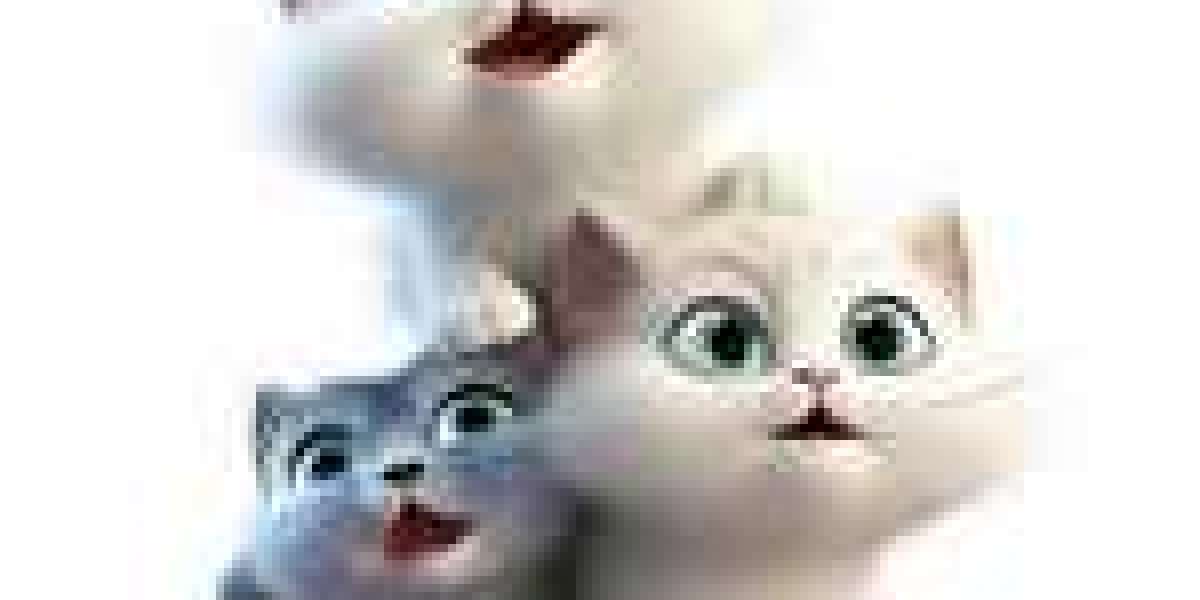 ГЕОКУПОЛ-ШАТЁР ДЛЯ РАЗВЛЕКАТЕЛЬНЫХ И ДЕЛОВЫХ МЕРОПРИЯТИЙ