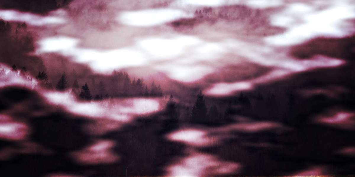 Exploring the World of Private Jet Trips: Luxurious, Convenience, and Adaptability