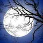 Ioland Profile Picture