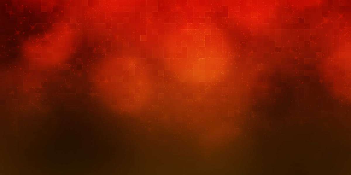 Exploring Private Airlines: A Complete Study Of Local Choices