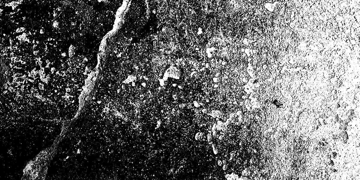 Revolutionizing Air Travel: The Rise Of Affordable Private Jet Charter Companies