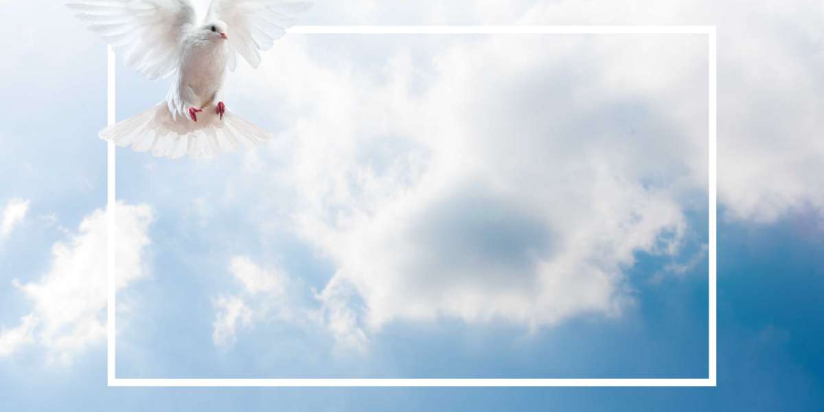 Understanding Gold And Silver IRA Companies: A Complete Information