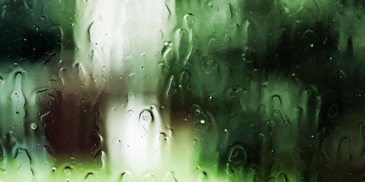 Shared Private Jet Charter: A Comprehensive Examine