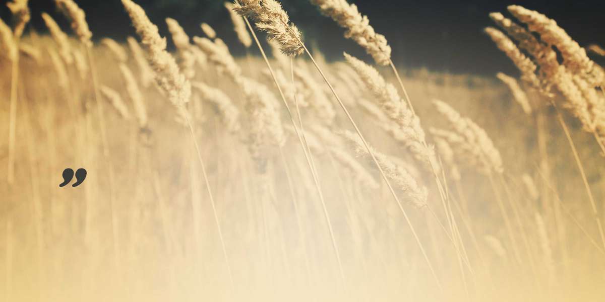 Exploring Effective Treatments For Erectile Dysfunction