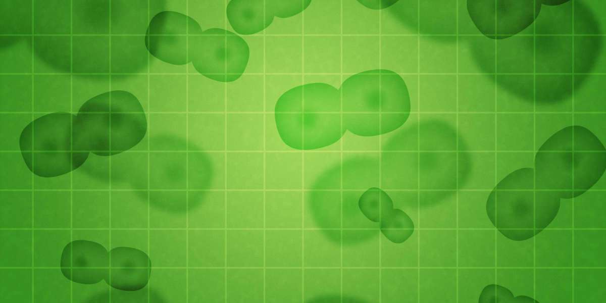 Advancements in the Online Purchase Of Modafinil Tablets: A Complete Overview