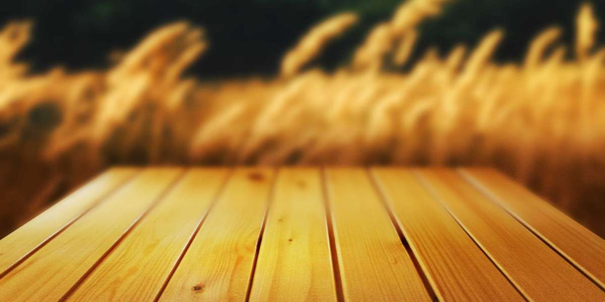 Exploring Sugar Daddy Sites within The USA: A Sociocultural Perspective