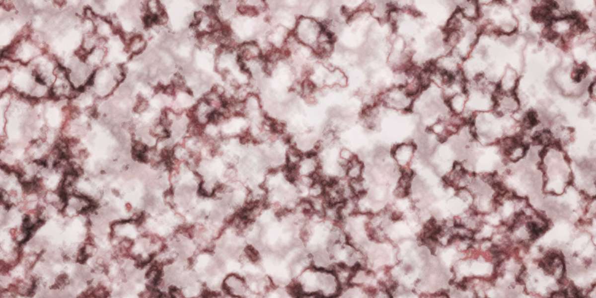 Best Generic Erectile Dysfunction Pills: A Complete Guide