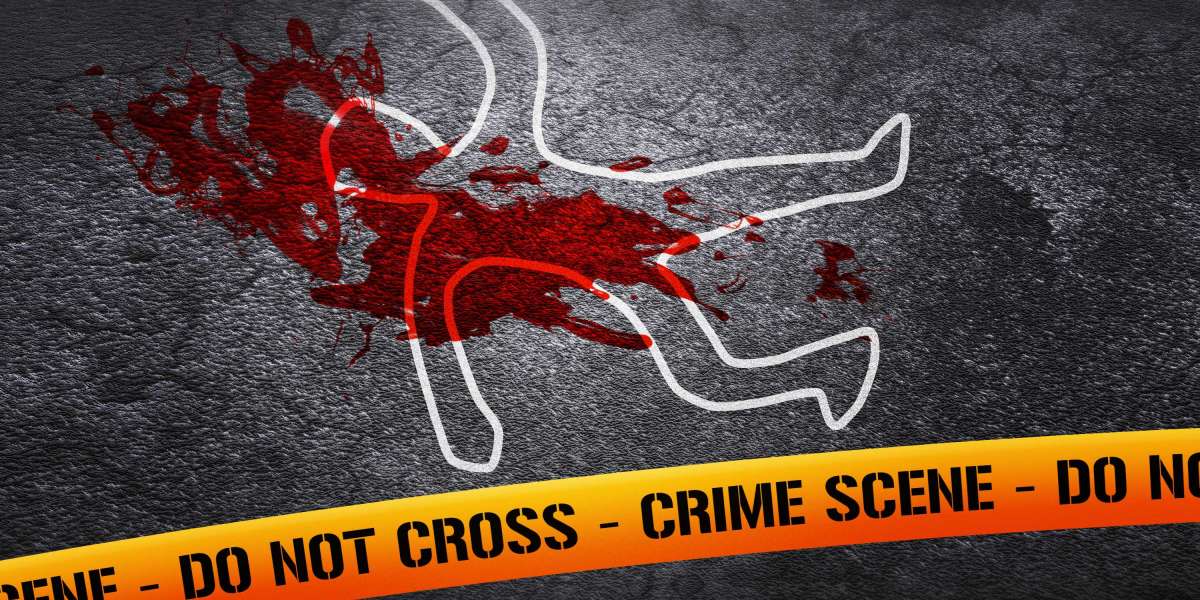 The Best Sugar Daddy Sites: A Complete Case Examine