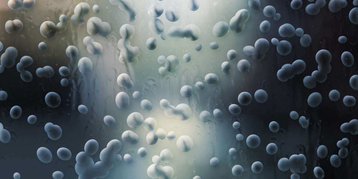 Case Examine: The Rise Of EliteJet - An International Private Jet Charter Firm