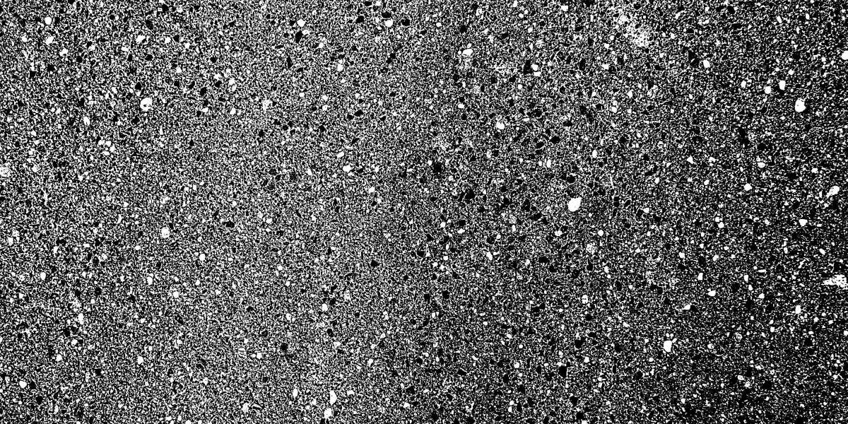 Top 10 Private Jet Charter Companies: A Complete Examine