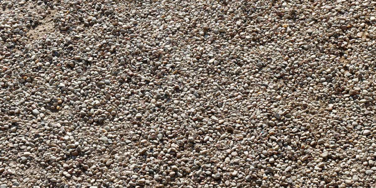 Top 10 Private Jet Charter Companies: Elevating Air Journey Experiences