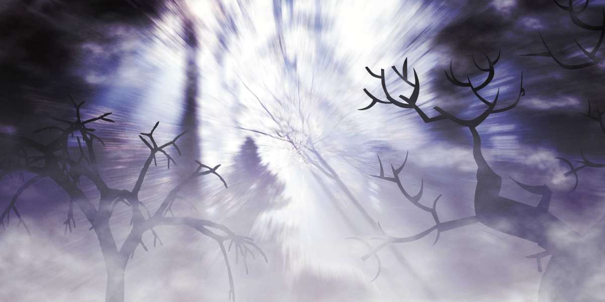 Exploring Private Jet Options: A Complete Information