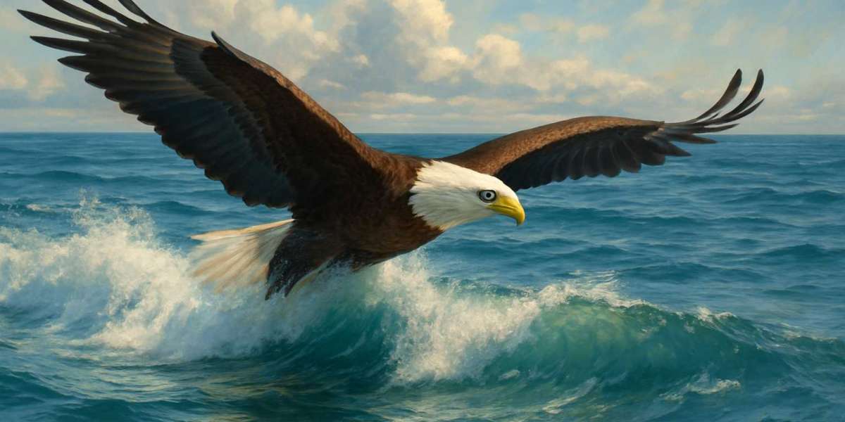 Фильмы про сильных женщин