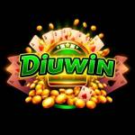 Diuwin96 Profile Picture