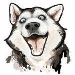 Алексей Серебряный Profile Picture